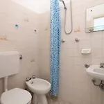 Miro' קאטוליקה