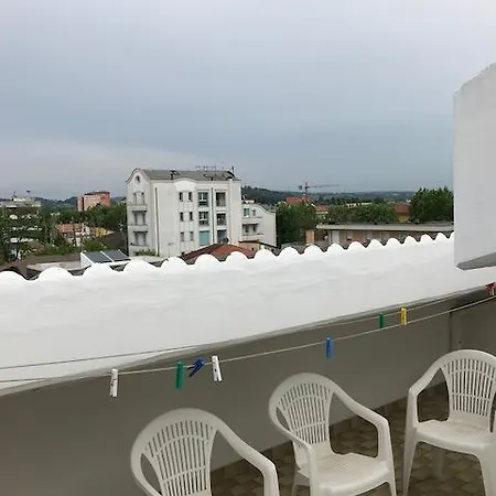Miro Cattolica