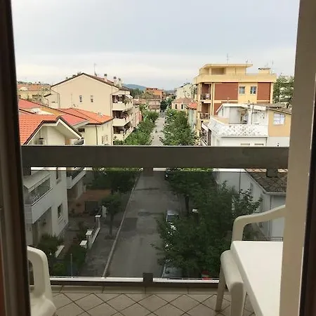 Miro Cattolica